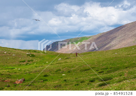 Solo hiking in the picturesque summer mountains. Heavy climb in the mountains with a backpack. Travel lifestyle, hiking hard track, adventure concept in summer vacation. Solo hiking in the picturesque summer mountains. Heavy climb in the mountains with a backpack. Travel lifestyle, hiking hard track, adventure concept in summer vacation. 85491528