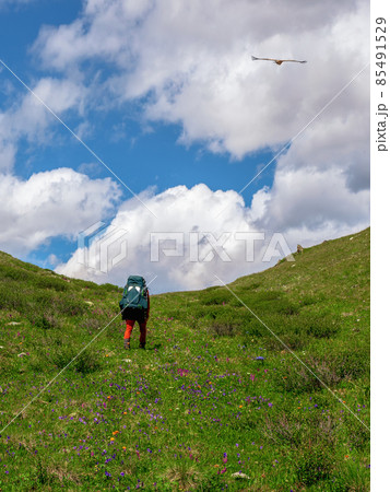 Solo hiking in the picturesque summer mountains. Heavy climb in the mountains with a backpack. Travel lifestyle, hiking hard track, adventure concept in summer vacation. Vertical view. 85491529