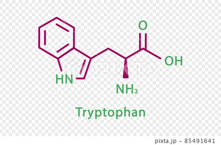 Tryptophan chemical formula. Tryptophan structural chemical formula isolated on transparent background. 85491641