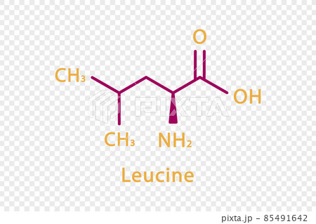 Leucine chemical formula. Leucine structural chemical formula isolated on transparent background. 85491642