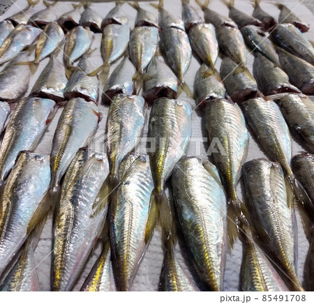 魚,アジ,調理工程,料理 85491708