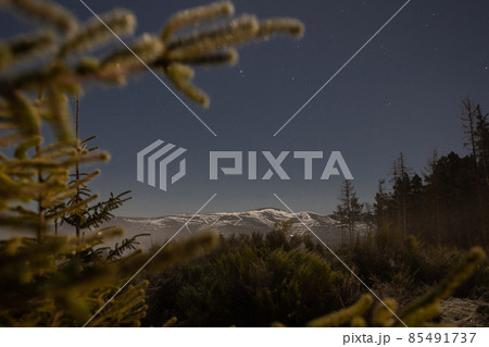 Snowy mountain through the trees in winter  85491737