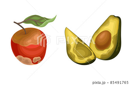 Rotten food product set spoiled and damaged fruit Vector Image