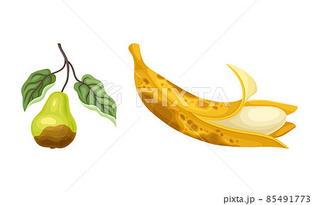 Rotten food product set spoiled and damaged fruit Vector Image