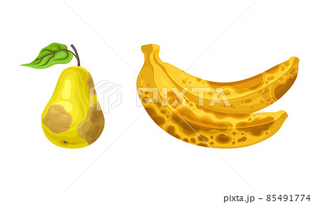 Rotten food product set spoiled and damaged fruit Vector Image