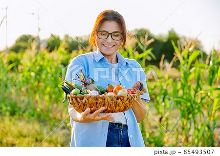 Middle-aged woman gardener farmer with basket of ripe vegetables Middle-aged woman gardener farmer with basket of ripe vegetables 85493507