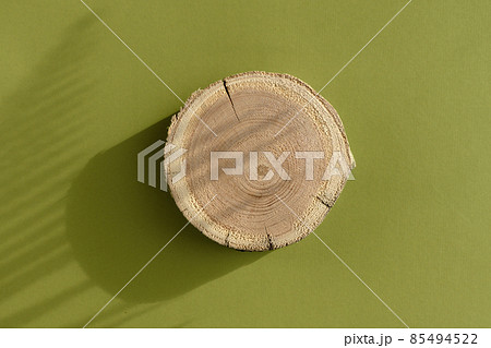 Woodcut lying on a trendy green background with shadows of fern. A wooden platform with shades for natural cosmetics or products presentation. Wooden tray mockup in the sunlight. Top view Woodcut lying on a trendy green background with shadows of fern. A wooden platform with shades for natural cosmetics or products presentation. Wooden tray mockup in the sunlight. Top view 85494522
