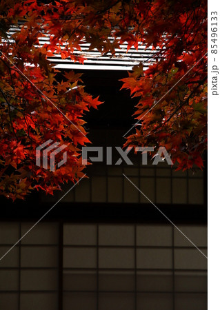 日本家屋と紅葉 85496133