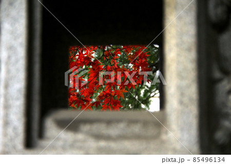 灯籠の中から紅葉 灯籠の中から紅葉 85496134
