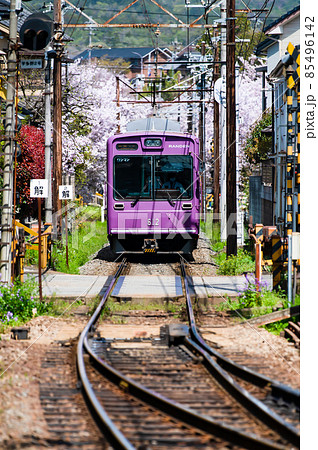 京都 嵐電 ~春・鳴滝駅付近~ 京都 嵐電 ~春・鳴滝駅付近~ 85496142