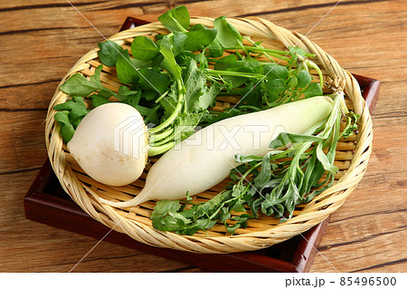 七草 七草 85496500