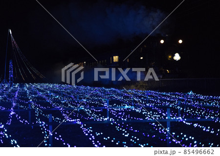 倉ヶ崎SL花畑のイルミネーションの中を走るSL大樹 倉ヶ崎SL花畑のイルミネーションの中を走るSL大樹 85496662