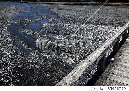 蓬莱橋から見た大井川の流れ 蓬莱橋から見た大井川の流れ 85496740