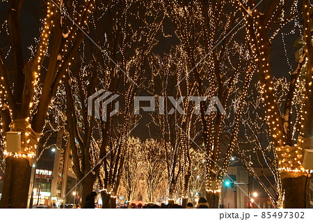 仙台・光のページェント2021年 85497302