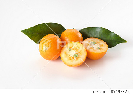 金柑を白バックで 金柑を白バックで 85497322