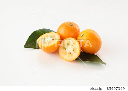 金柑を白バックで 85497349