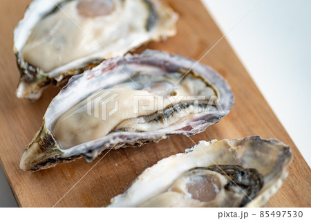 冬の味覚生真牡蠣 冬の味覚生真牡蠣 85497530