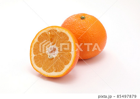 伊予柑 いよかん イヨカン 85497879