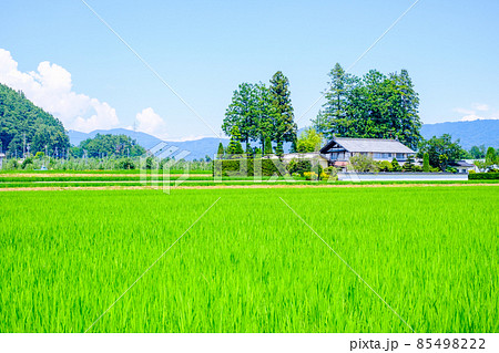 夏の田舎風景 85498222