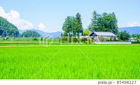夏の田舎風景 夏の田舎風景 85498227