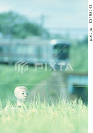 神戸電鉄6500系 神戸電鉄6500系 85498243