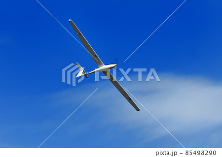 ラジコングライダー ラジコングライダー 85498290