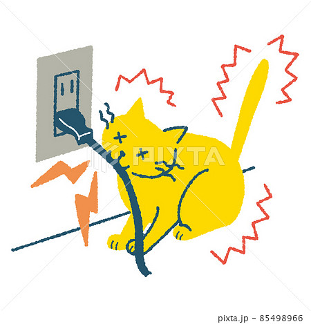 電気コードを噛んで感電する猫 85498966