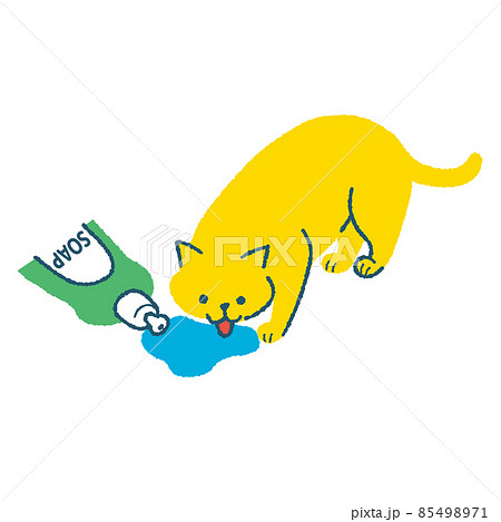 洗剤を舐める猫 85498971