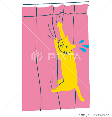 爪がカーテンに引っかかる猫 爪がカーテンに引っかかる猫 85498972