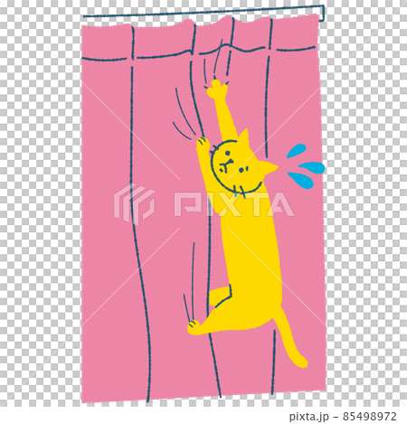 爪がカーテンに引っかかる猫 爪がカーテンに引っかかる猫 85498972