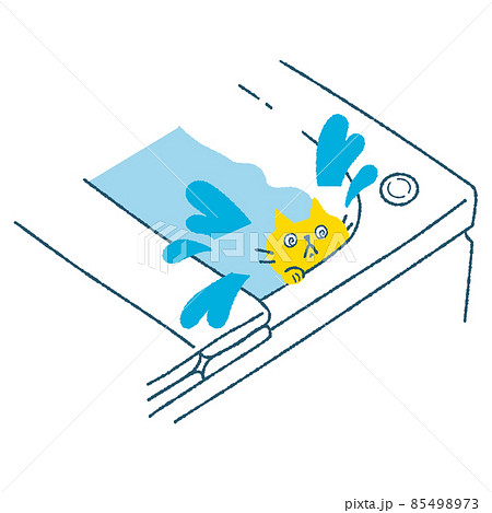 風呂に落ちて溺れる猫 85498973