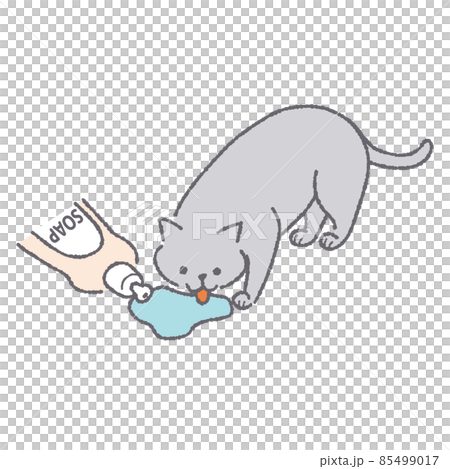Cat licking detergent 85499017