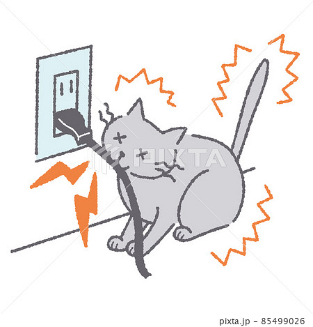電気コードを噛んで感電する猫 85499026