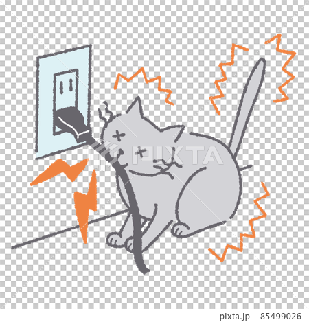 電気コードを噛んで感電する猫 85499026