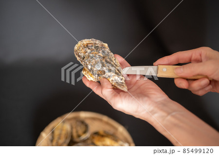 牡蠣を開けようとしてるミドル女性 85499120