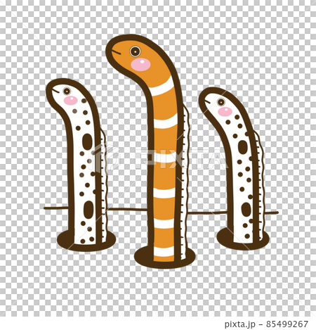 插圖素材 斑點花園鰻 85499267