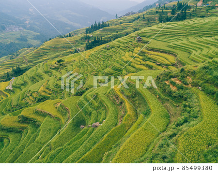 Beautiful terrace rice field with small houses in China Beautiful terrace rice field with small houses in China 85499380