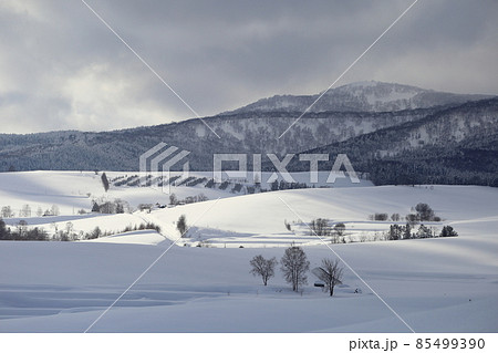 北海道　芦別　丘の風景 85499390
