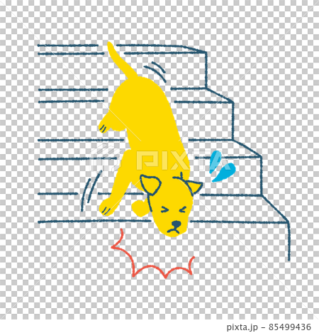 階段から落ちる犬 85499436