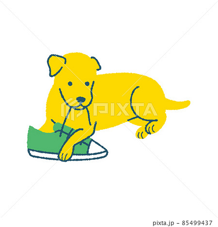 靴ひもを噛む犬 靴ひもを噛む犬 85499437