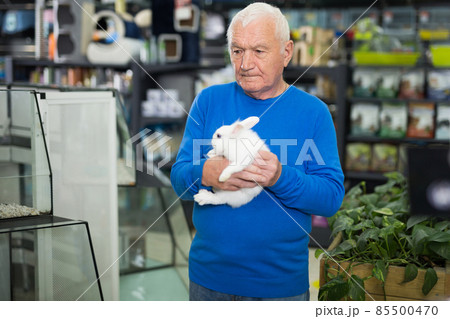 Senior man with little white rabbit in pet shop Senior man with little white rabbit in pet shop 85500470
