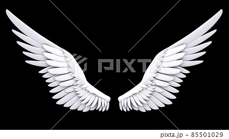 翼 羽 ウイング 鳥 グレースケール 翼 羽 ウイング 鳥 グレースケール 85501029