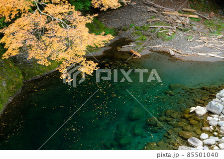 清流那賀川の深山の秋景 清流那賀川の深山の秋景 85501040