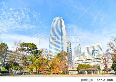 都立芝公園4号地より愛宕ヒルズ方面を望む(東京都港区)【2021.12】 85501066