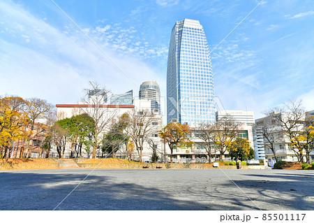 都立芝公園23号地より愛宕ヒルズ方面を望む(東京都港区)【2021.12】 都立芝公園23号地より愛宕ヒルズ方面を望む(東京都港区)【2021.12】 85501117