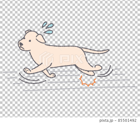 Dog slipping on the floor Dog slipping on the floor 85501492