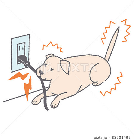 電気コードを噛んで感電する犬 85501495
