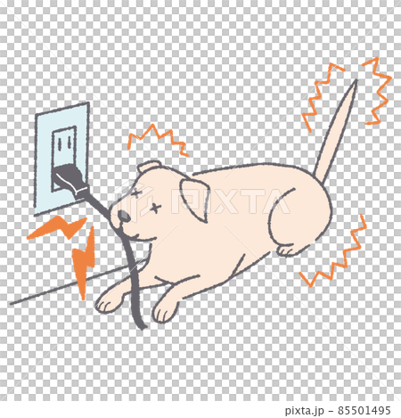 電気コードを噛んで感電する犬 85501495