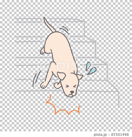 階段から落ちる犬 85501498