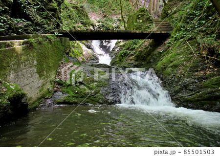 天滝　兵庫県養父市大屋町にある日本の滝100選の名瀑　そこから流れる渓流天滝川の急流と登山道の橋 85501503